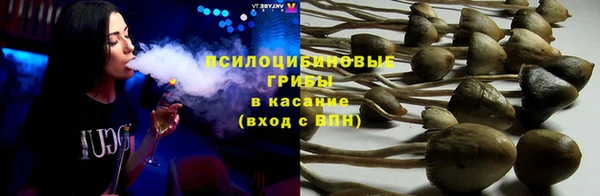 стаф Беломорск