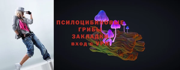 стаф Беломорск