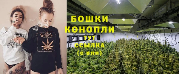 mix Белокуриха