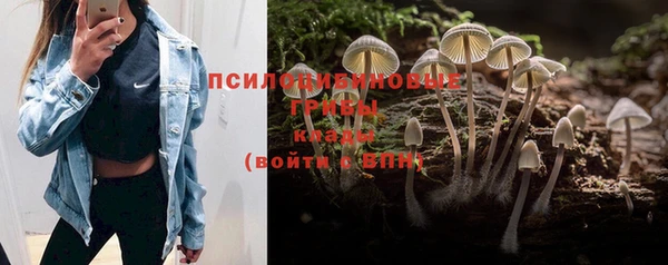mix Белокуриха